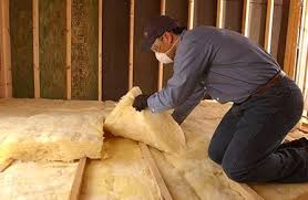 Best Insulation for New Construction  in Salyersville, KY